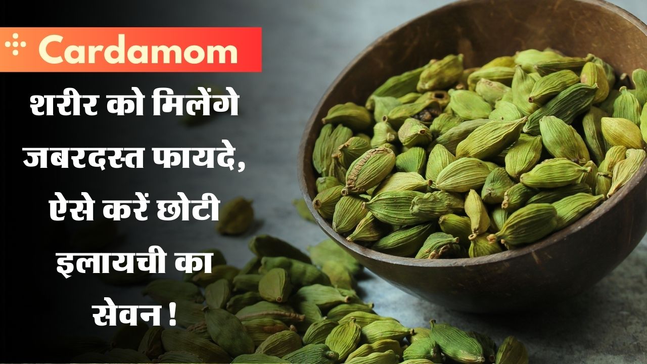 Cardamom