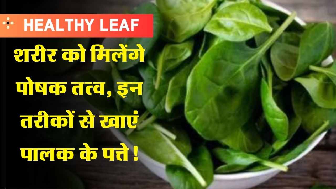 Healthy Leaf