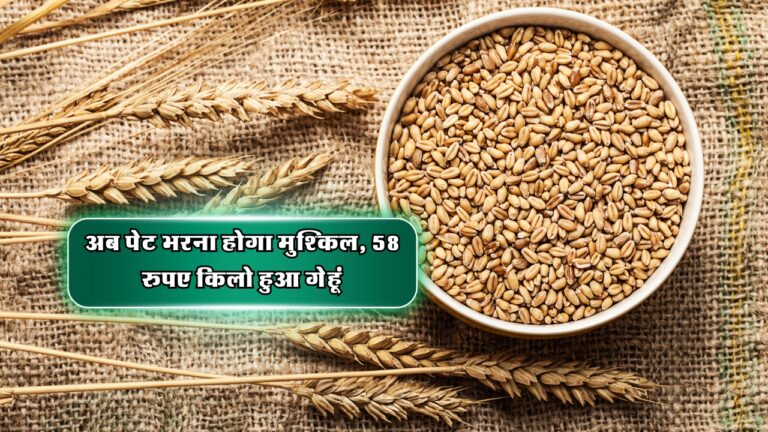 Wheat Price Hike