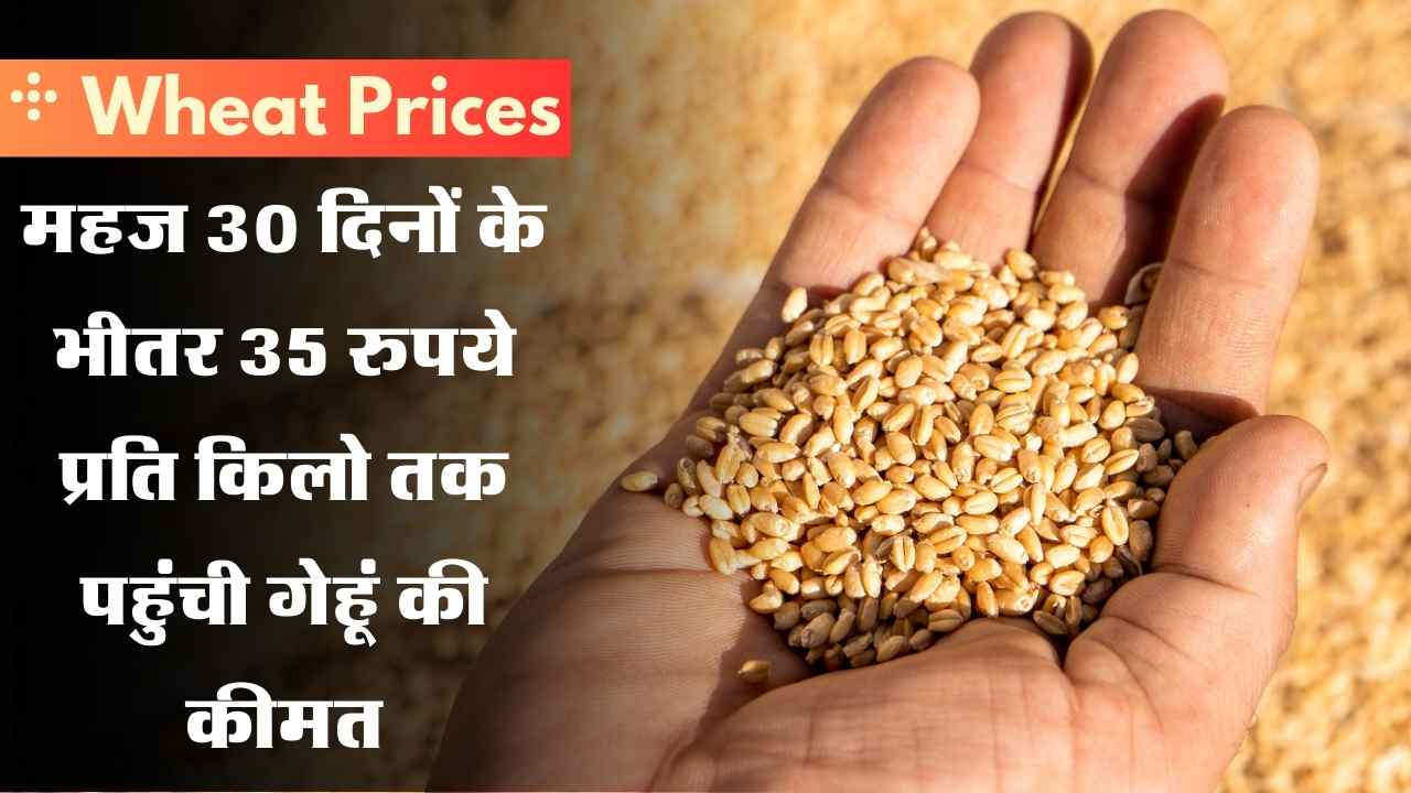 Wheat Prices