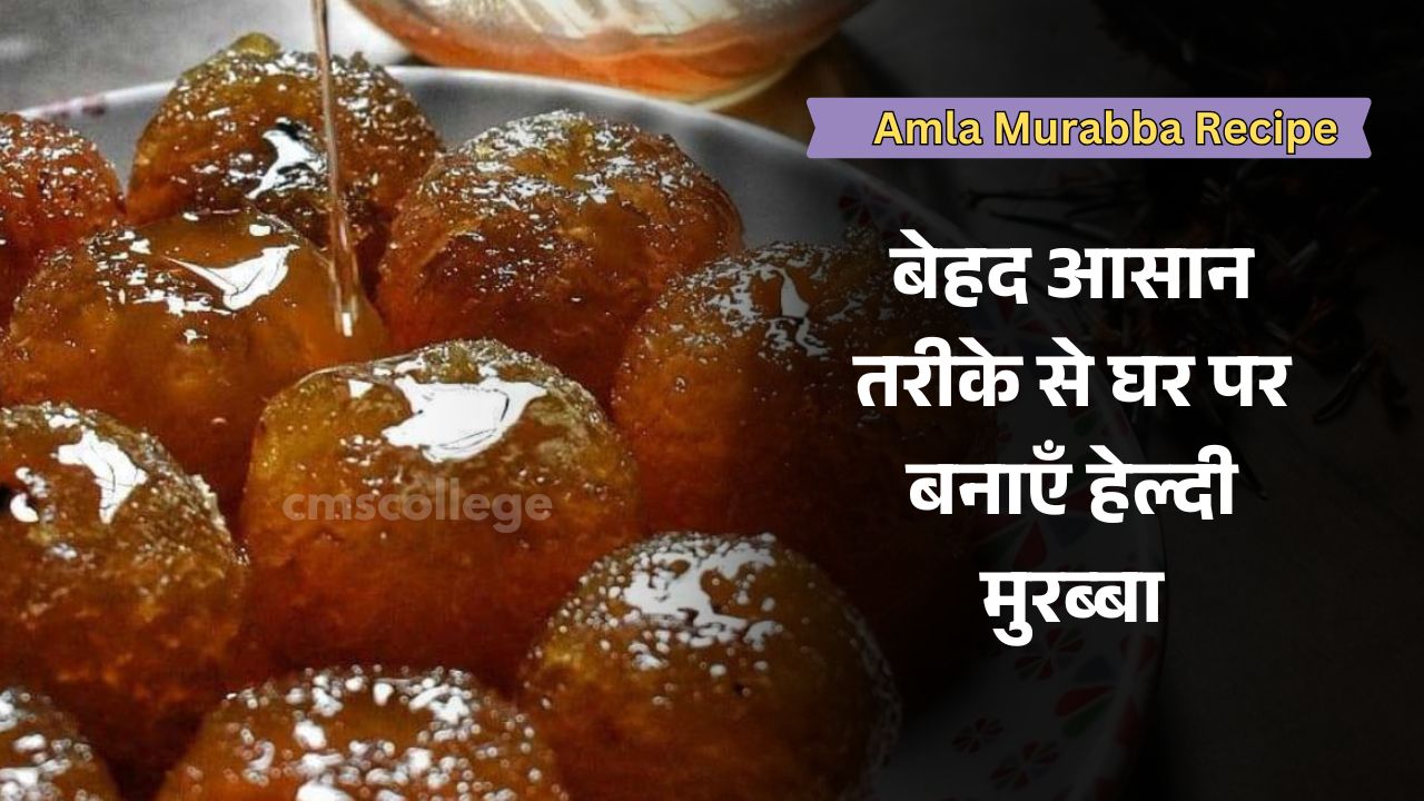 amla healthy murabba recipe in hindi