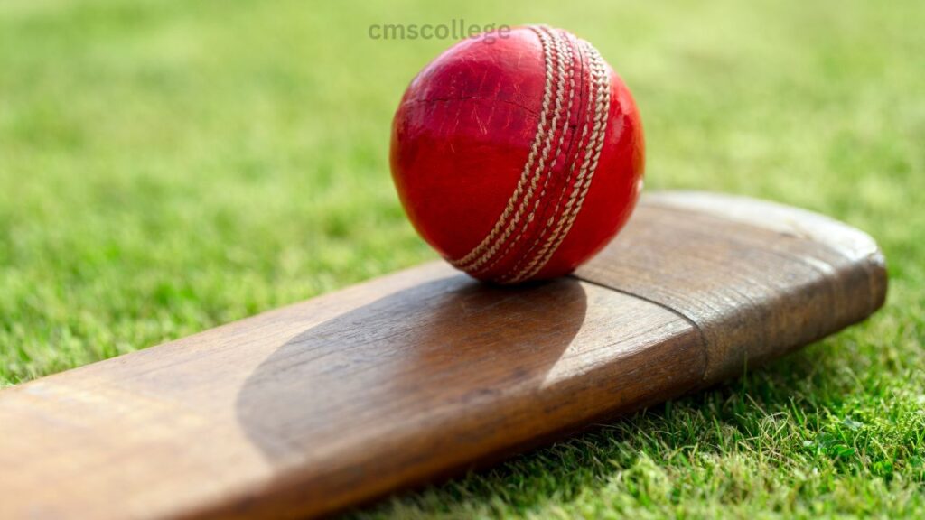 cricket ball