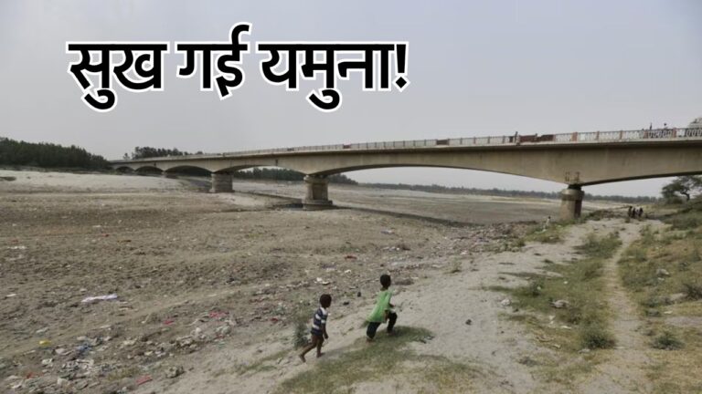 फरीदाबाद। yamuna river faridabad