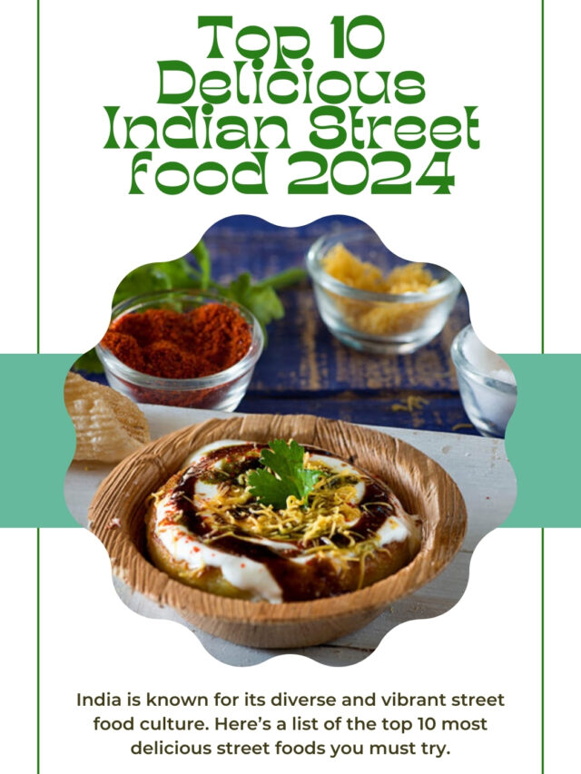 top 10 delicious indian street food 2024