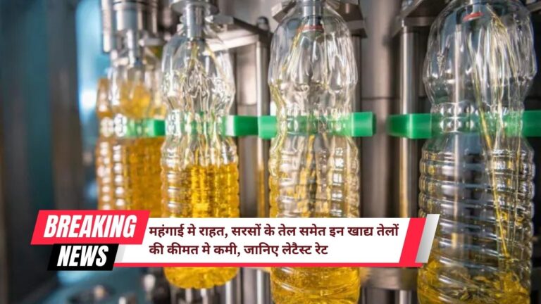 edible oil price