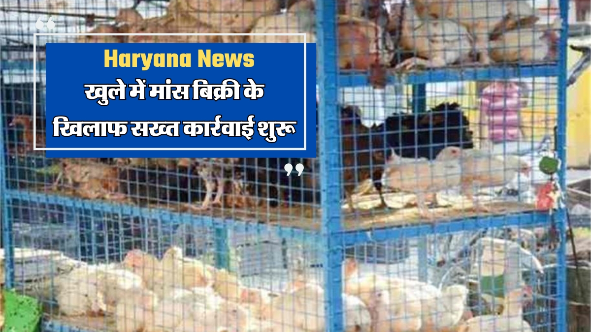 faridabad action on meat shops