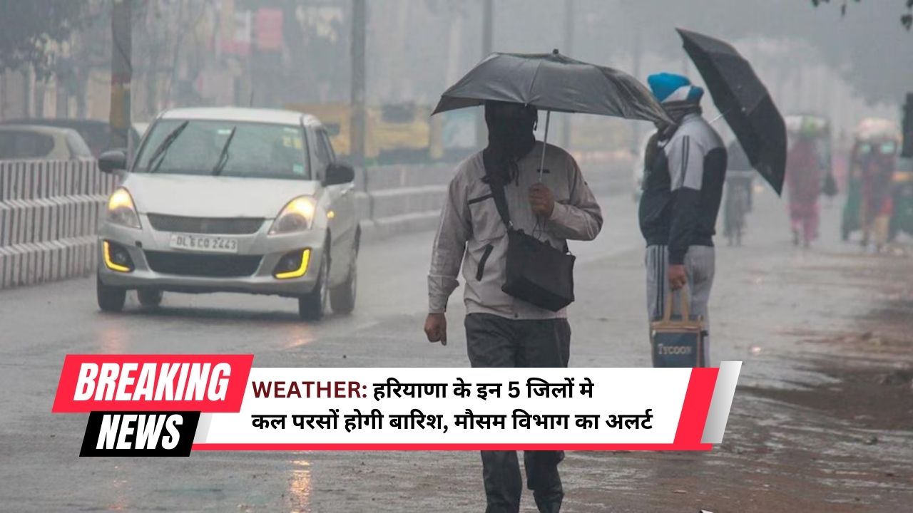 haryana weather news