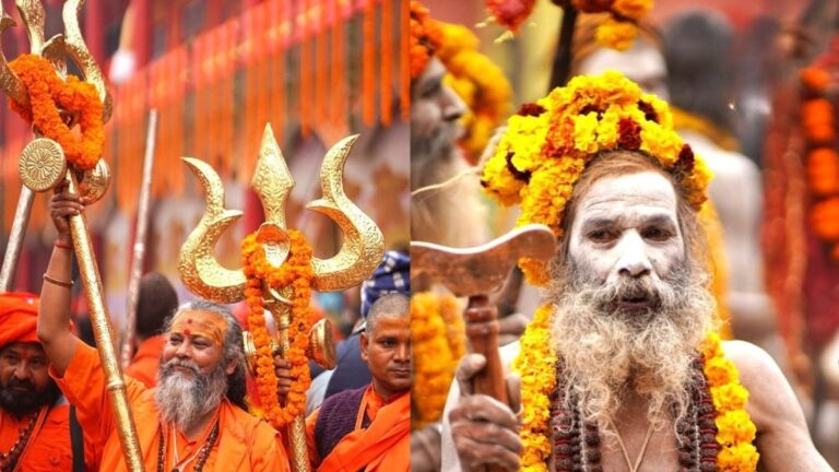 naga sadhu. नागा साधू, महाकुंभ 2025