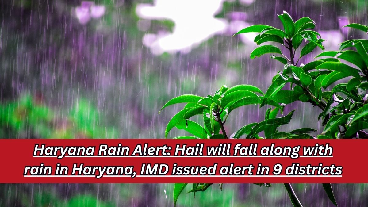 Haryana Rain Alert: Hailstorm Haryana