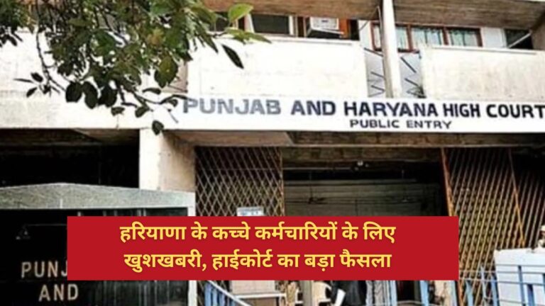 punjab and haryana high court on temporary employees