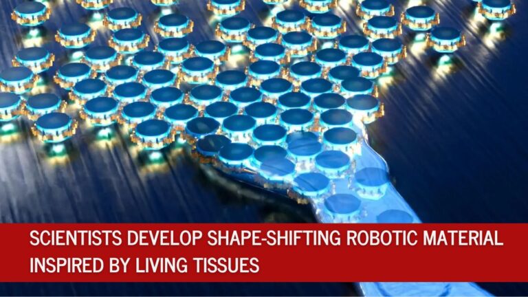 Shape-Shifting Robotic Material