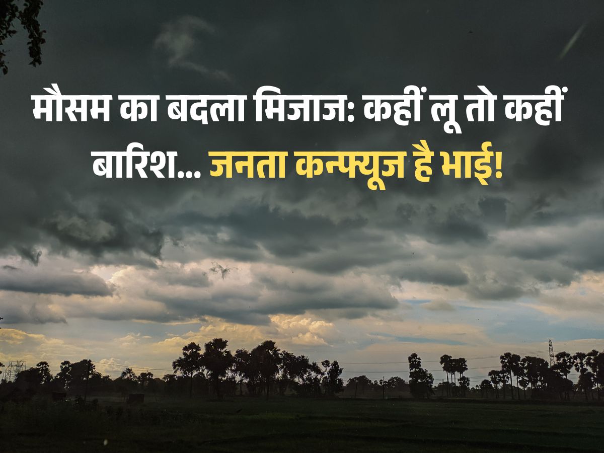 weather forecast