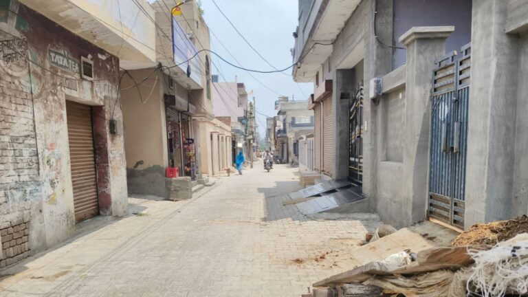 safidon college road