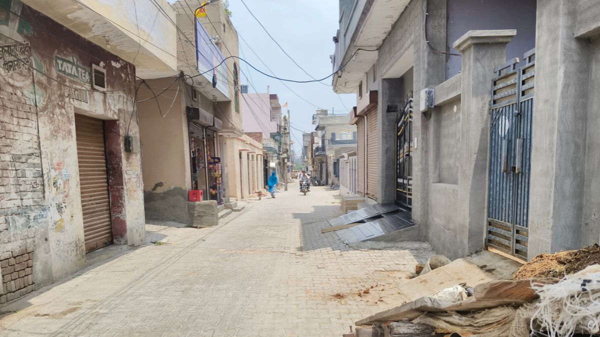 safidon college road
